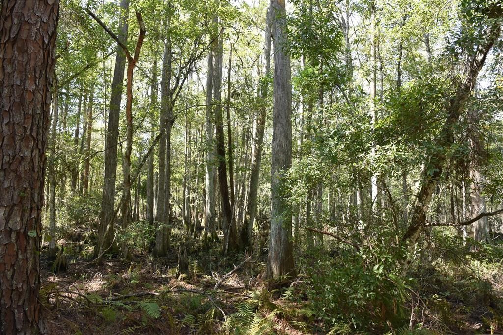 En Venta: $374,900 (58.00 acres)