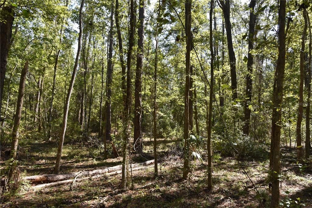 En Venta: $374,900 (58.00 acres)