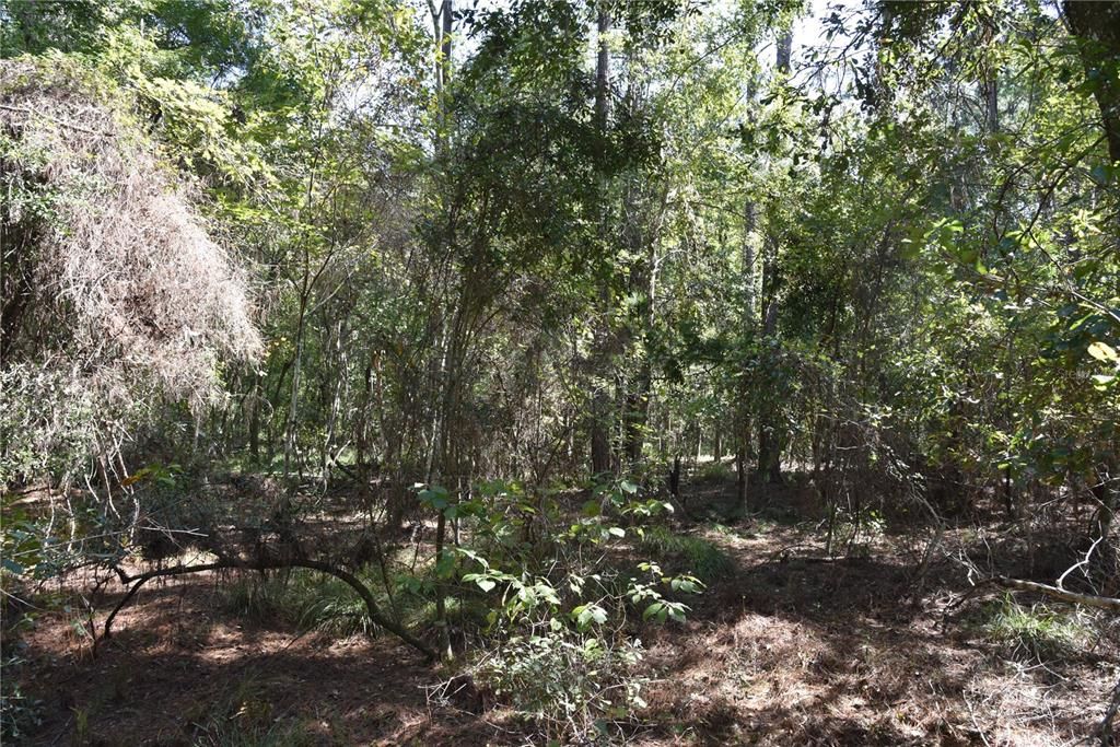 En Venta: $374,900 (58.00 acres)