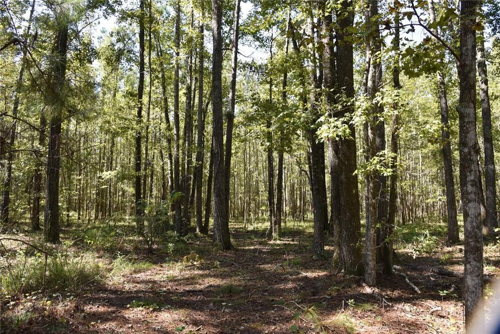 En Venta: $374,900 (58.00 acres)