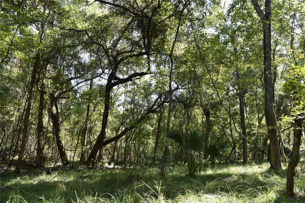 En Venta: $374,900 (58.00 acres)
