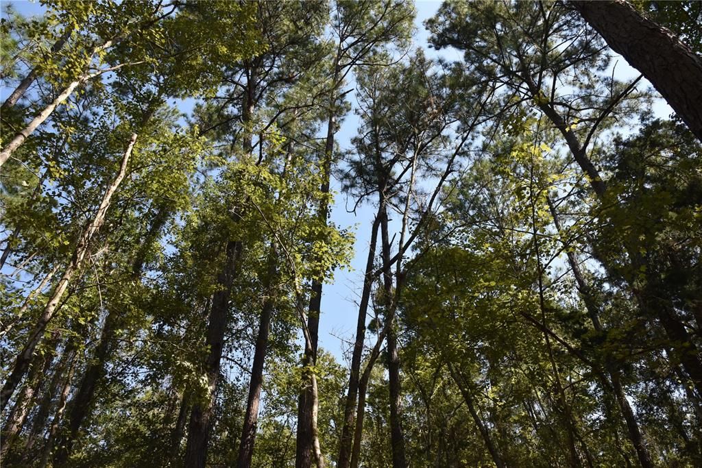 En Venta: $374,900 (58.00 acres)