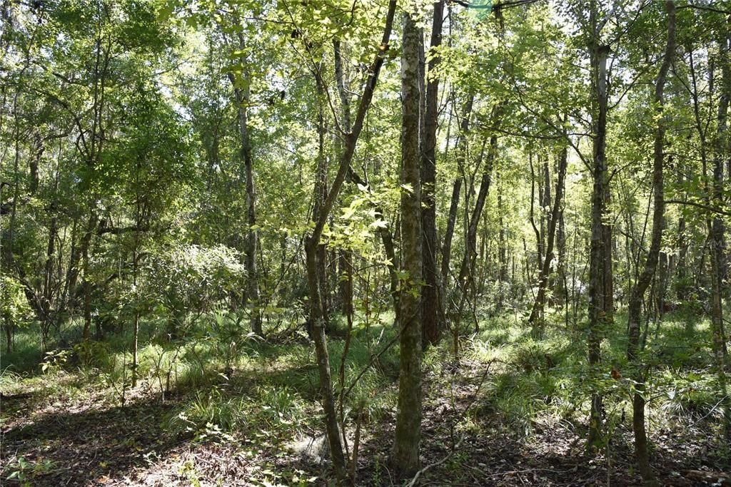 En Venta: $374,900 (58.00 acres)