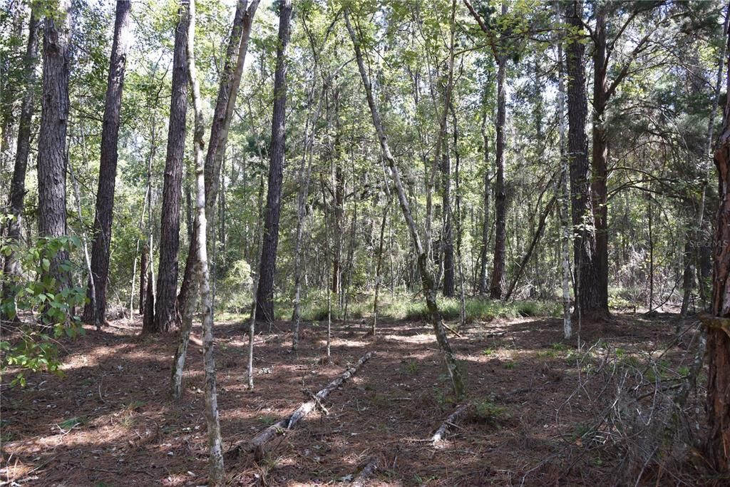En Venta: $374,900 (58.00 acres)
