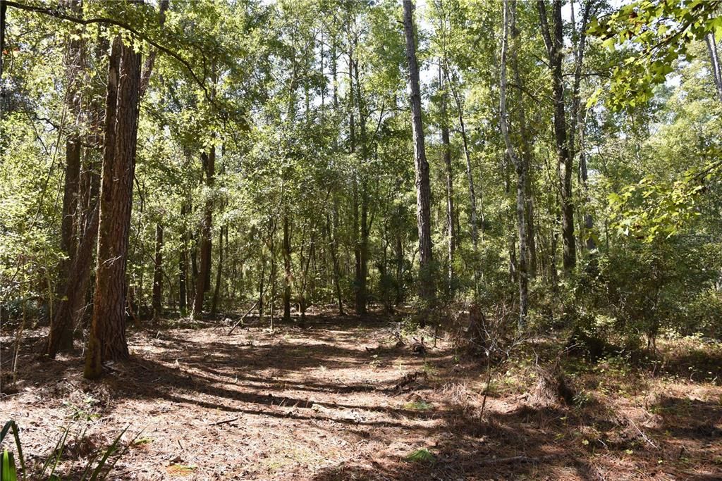 En Venta: $374,900 (58.00 acres)