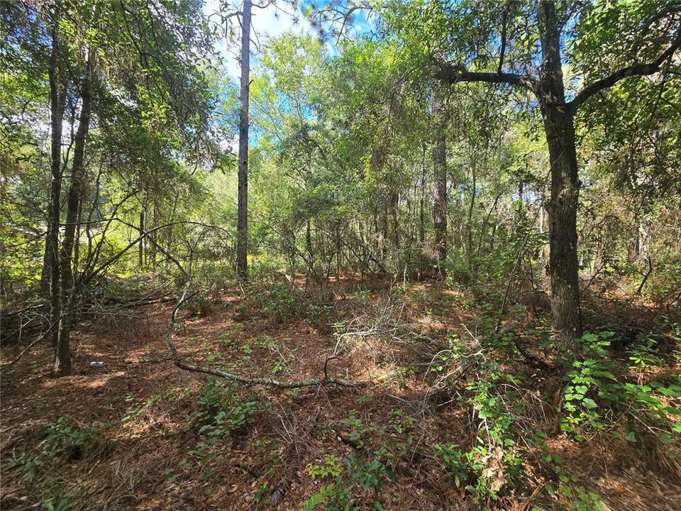 待售: $27,000 (0.44 acres)