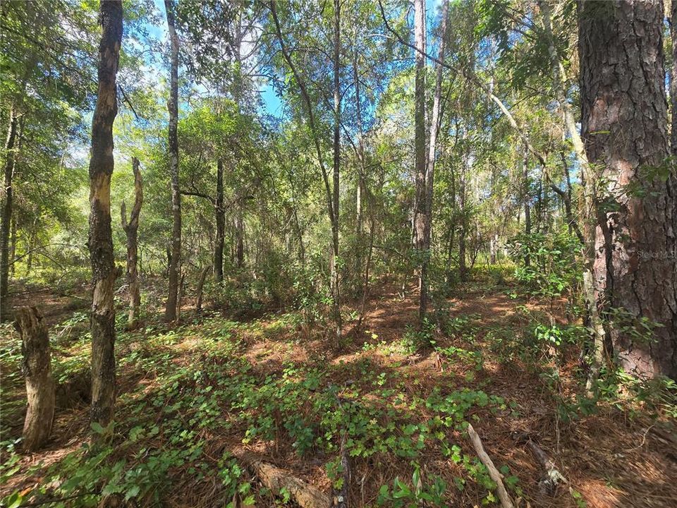 待售: $27,000 (0.44 acres)