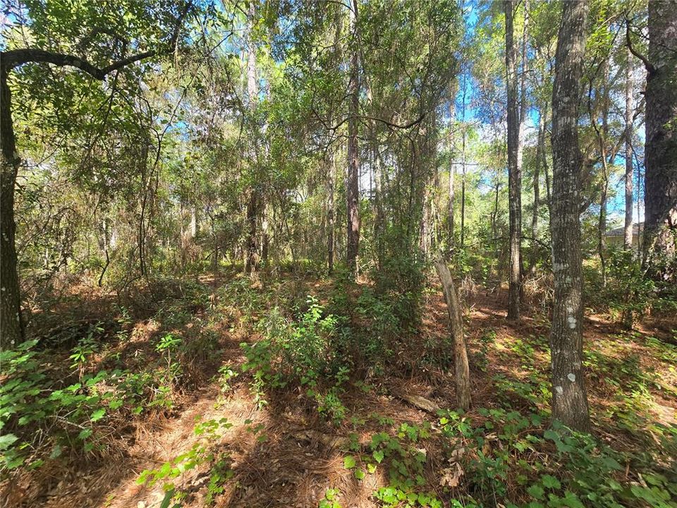 待售: $27,000 (0.44 acres)