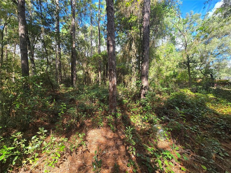 待售: $27,000 (0.44 acres)