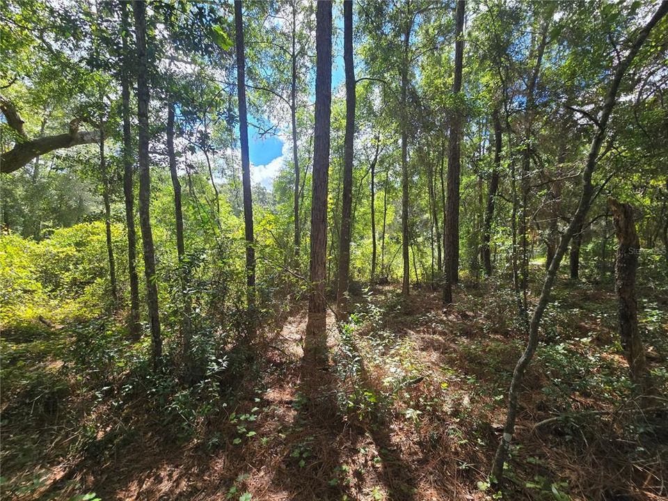 待售: $27,000 (0.44 acres)