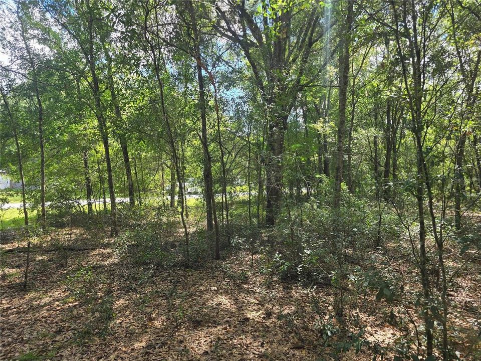 待售: $27,000 (0.47 acres)