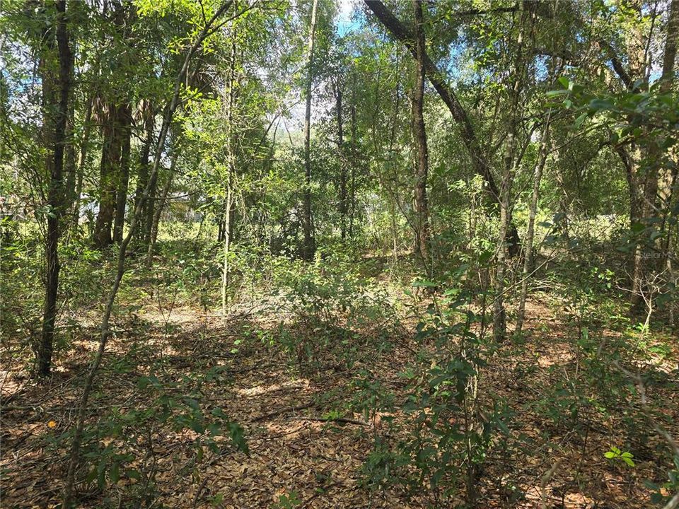 待售: $27,000 (0.47 acres)