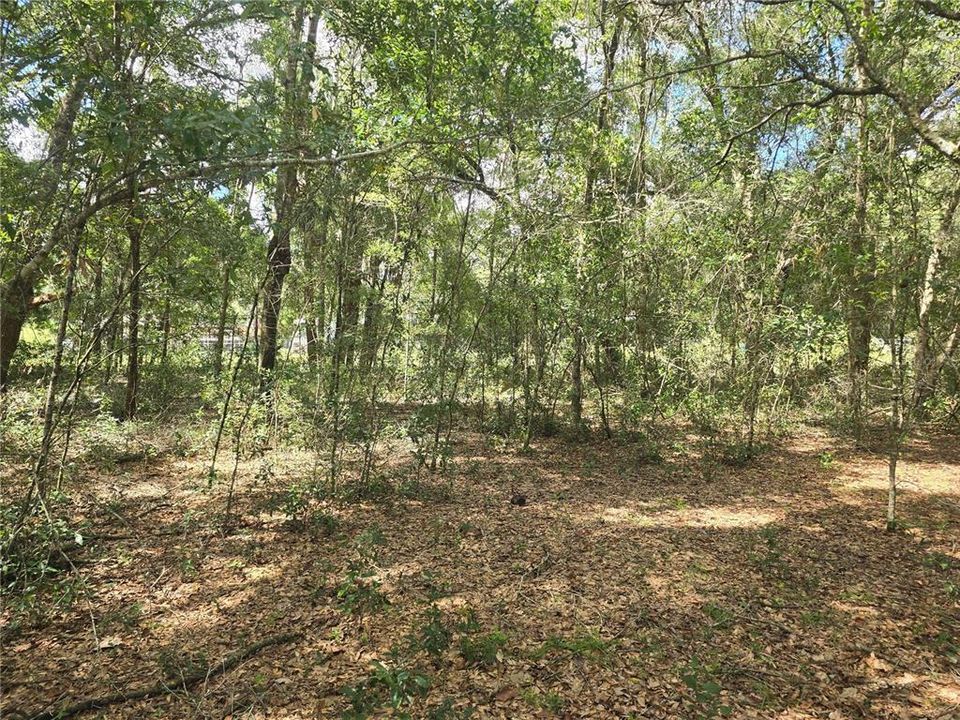 待售: $27,000 (0.47 acres)