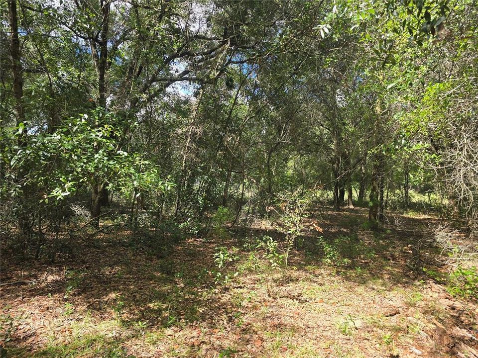 待售: $27,000 (0.47 acres)