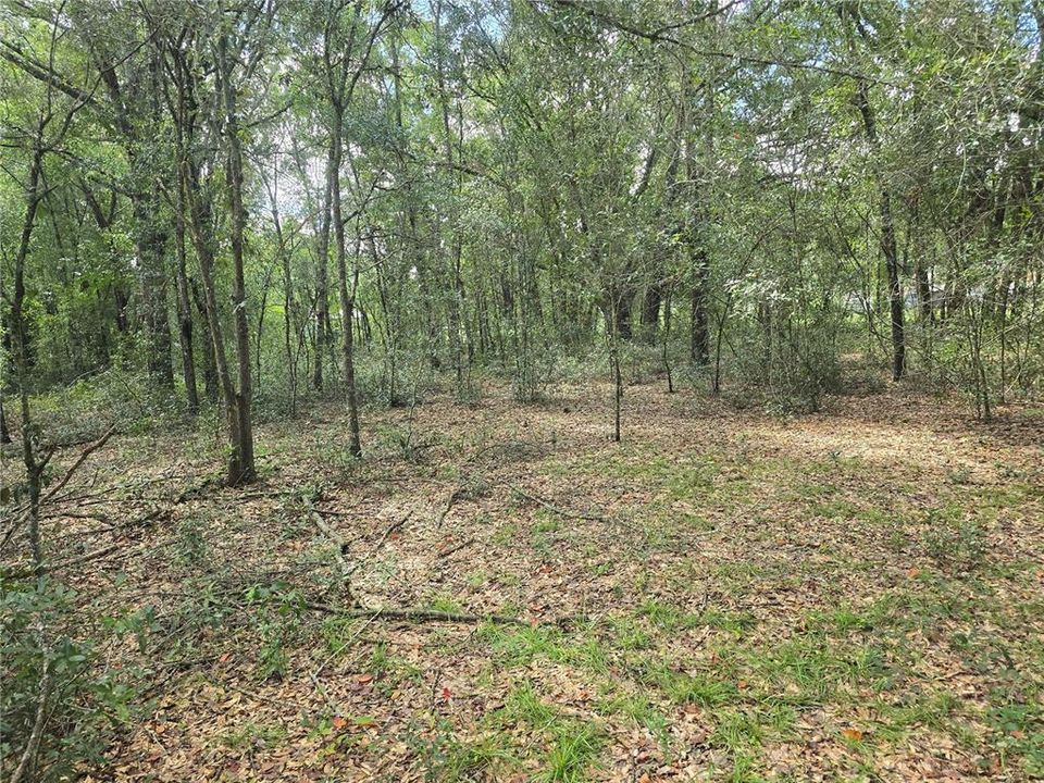 待售: $27,000 (0.47 acres)