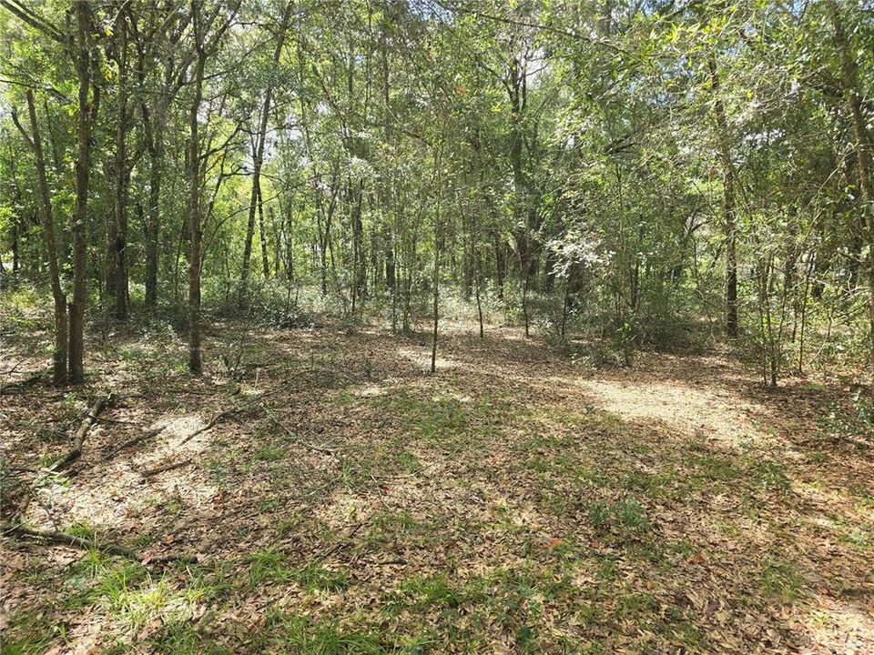 待售: $27,000 (0.47 acres)