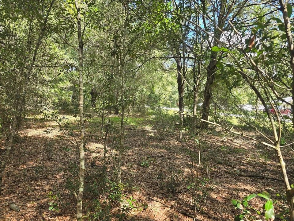 待售: $27,000 (0.47 acres)