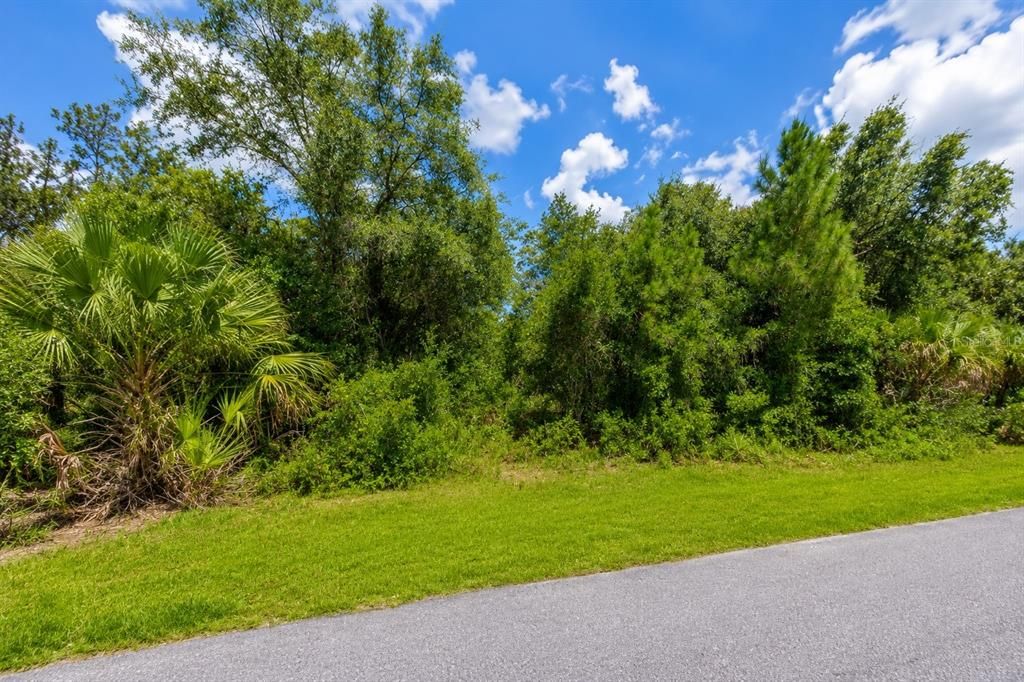Recently Sold: $20,000 (0.24 acres)