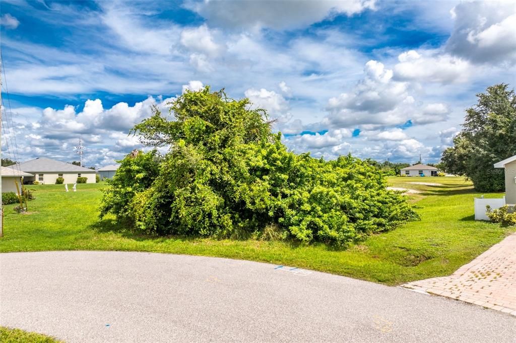 For Sale: $52,000 (0.31 acres)