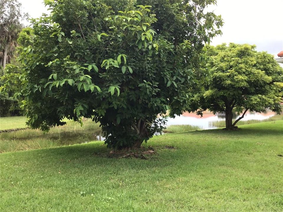 En Renta: $2,800 (4 camas, 3 baños, 2119 Pies cuadrados)