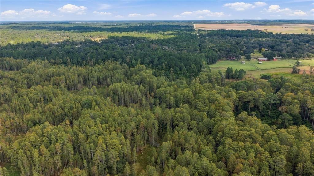 En Venta: $199,900 (21.15 acres)