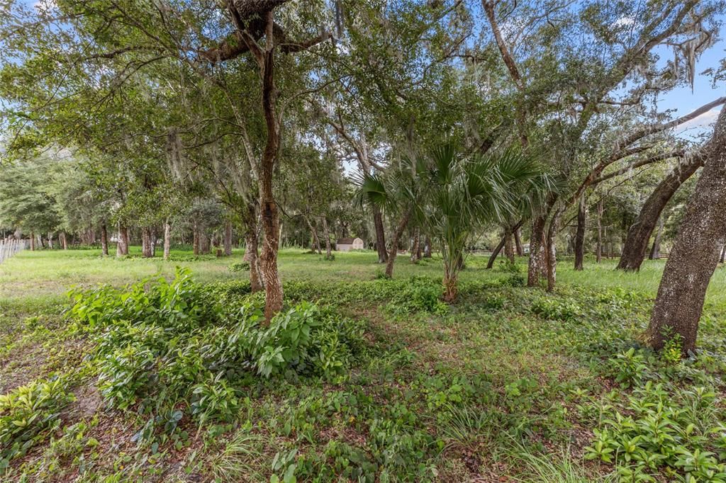 待售: $225,000 (2.04 acres)