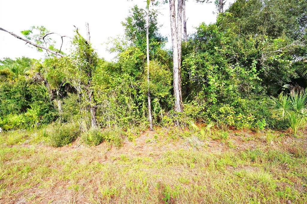 待售: $15,000 (0.25 acres)