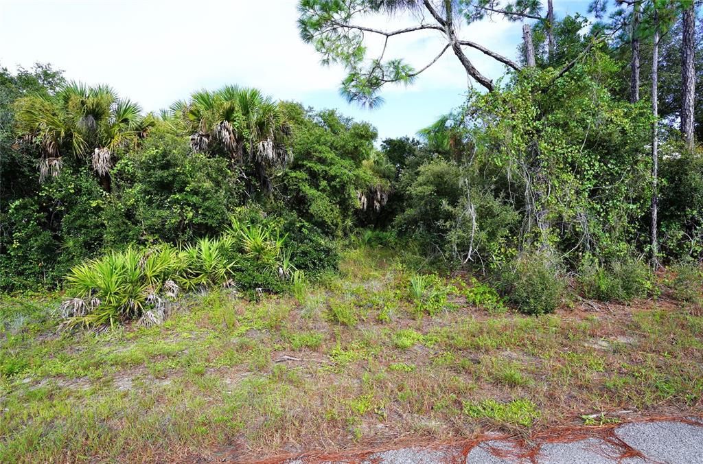 待售: $15,000 (0.25 acres)