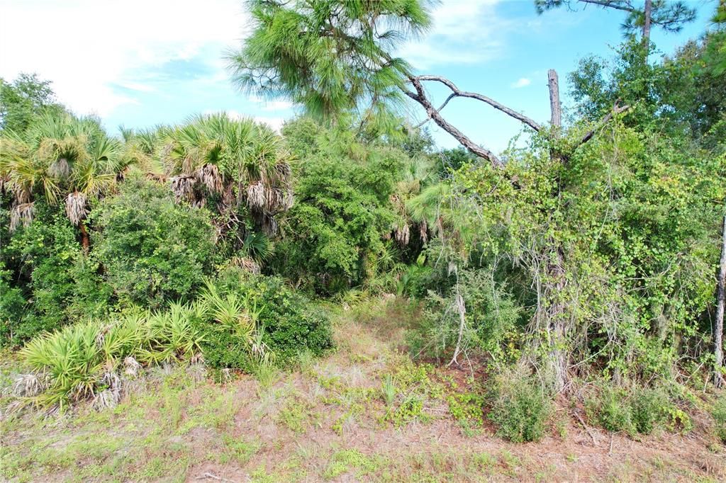 待售: $15,000 (0.25 acres)