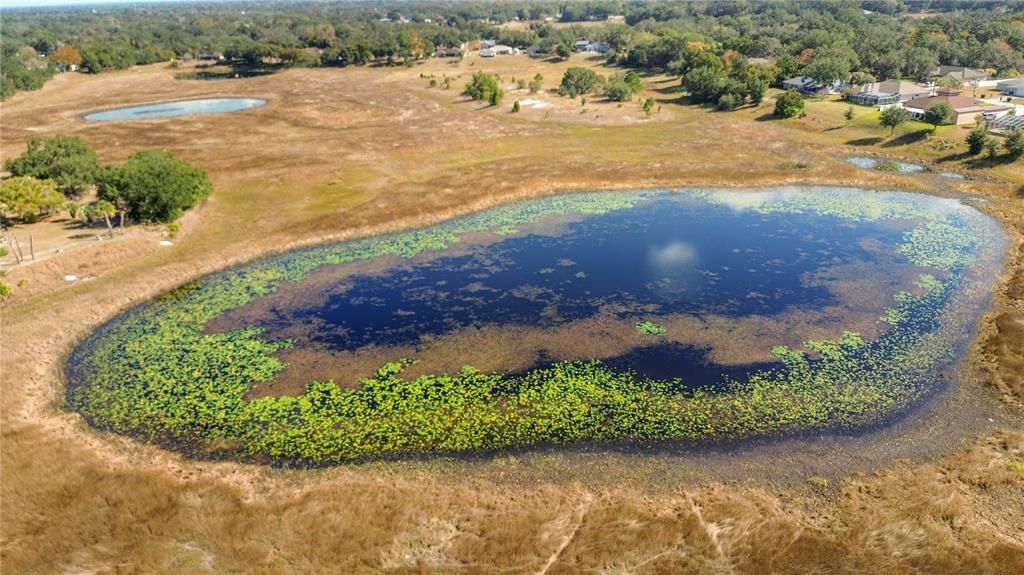 For Sale: $429,900 (3 beds, 2 baths, 1805 Square Feet)