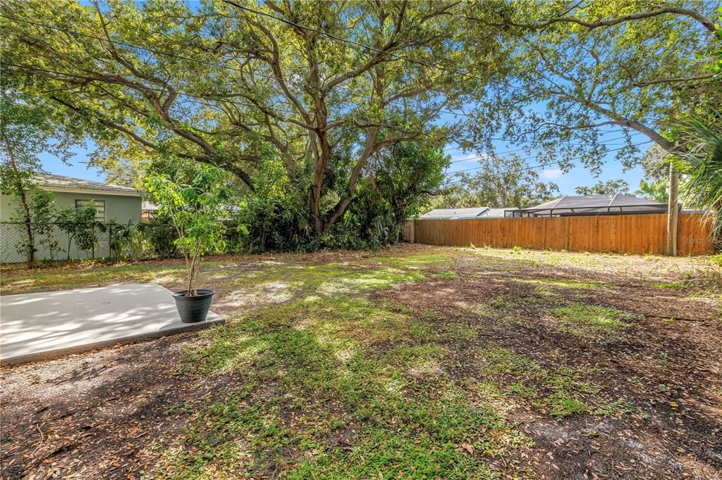 For Sale: $335,000 (3 beds, 1 baths, 804 Square Feet)