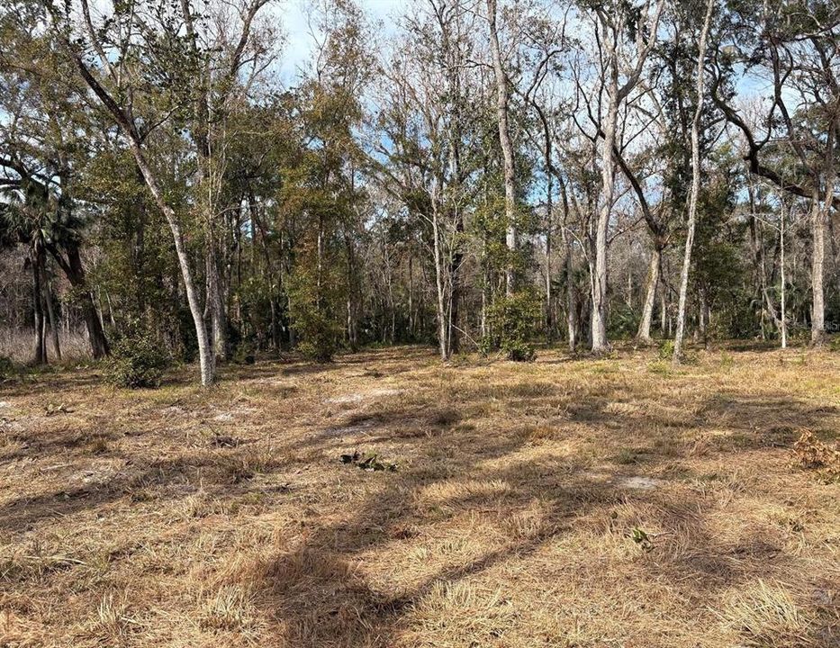 待售: $550,000 (19.20 acres)