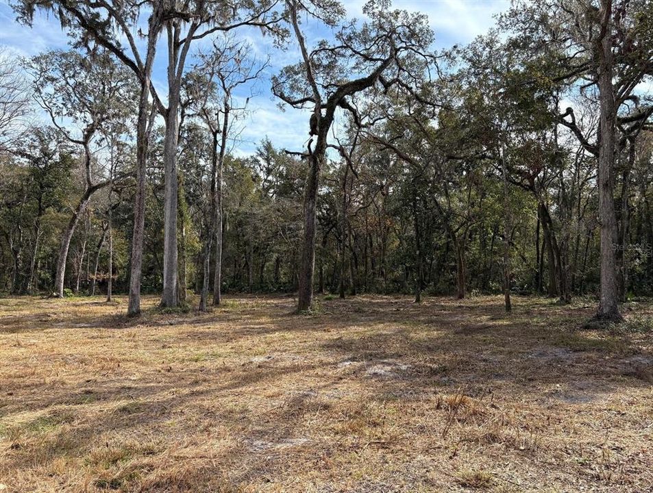 待售: $550,000 (19.20 acres)