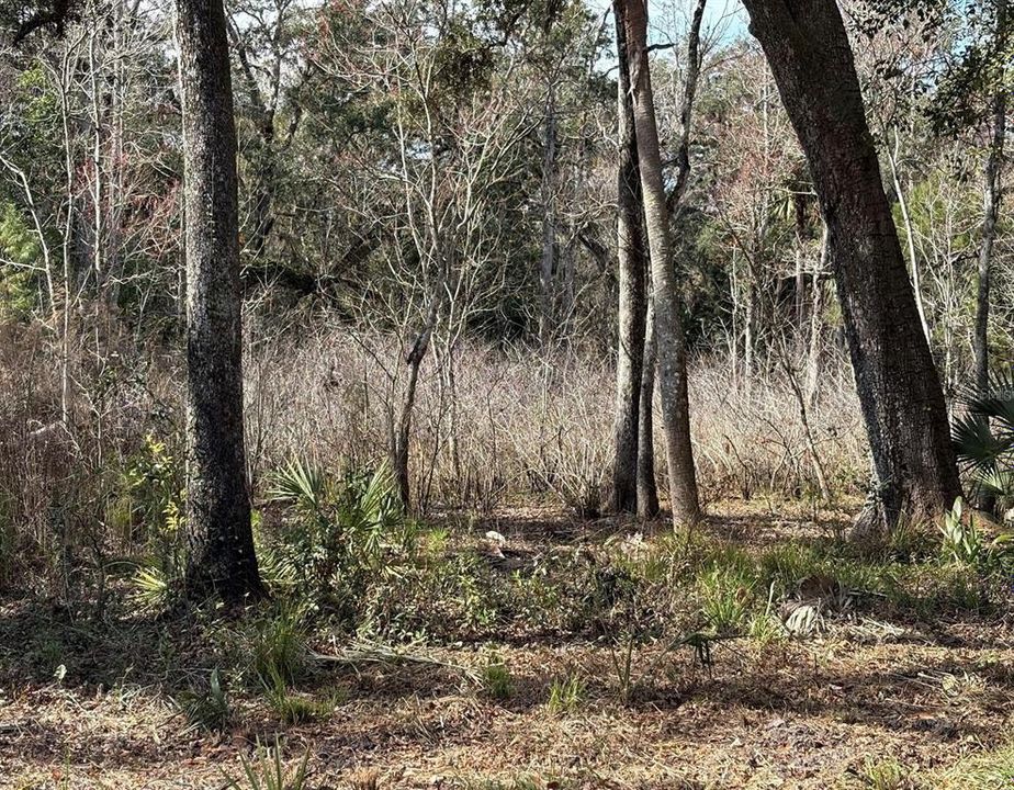 待售: $550,000 (19.20 acres)
