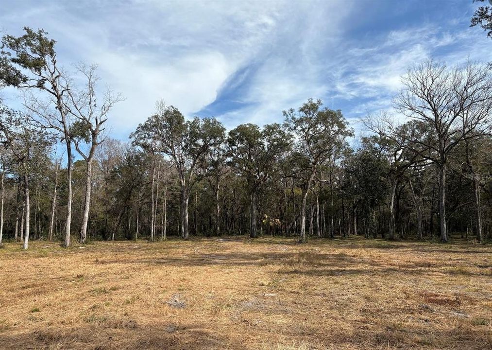 待售: $550,000 (19.20 acres)