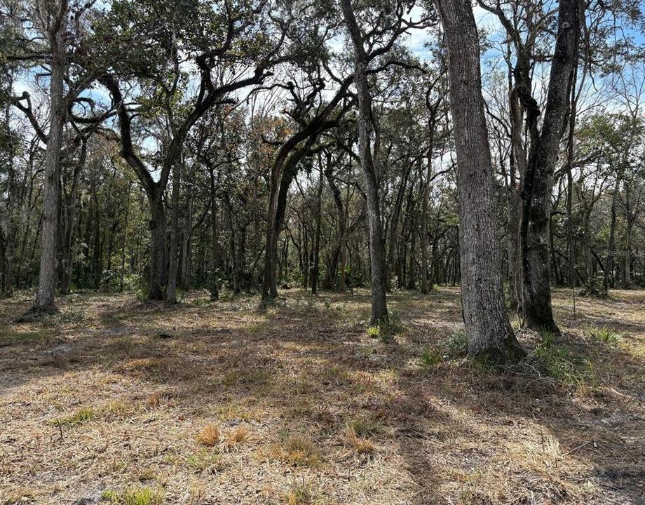 待售: $550,000 (19.20 acres)