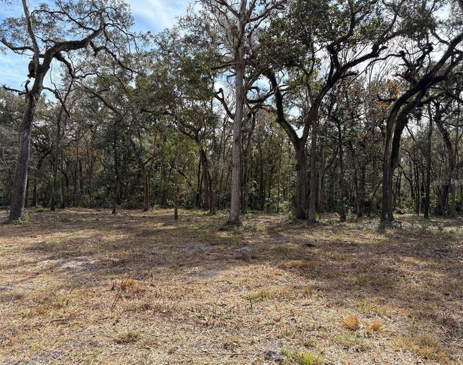 待售: $550,000 (19.20 acres)