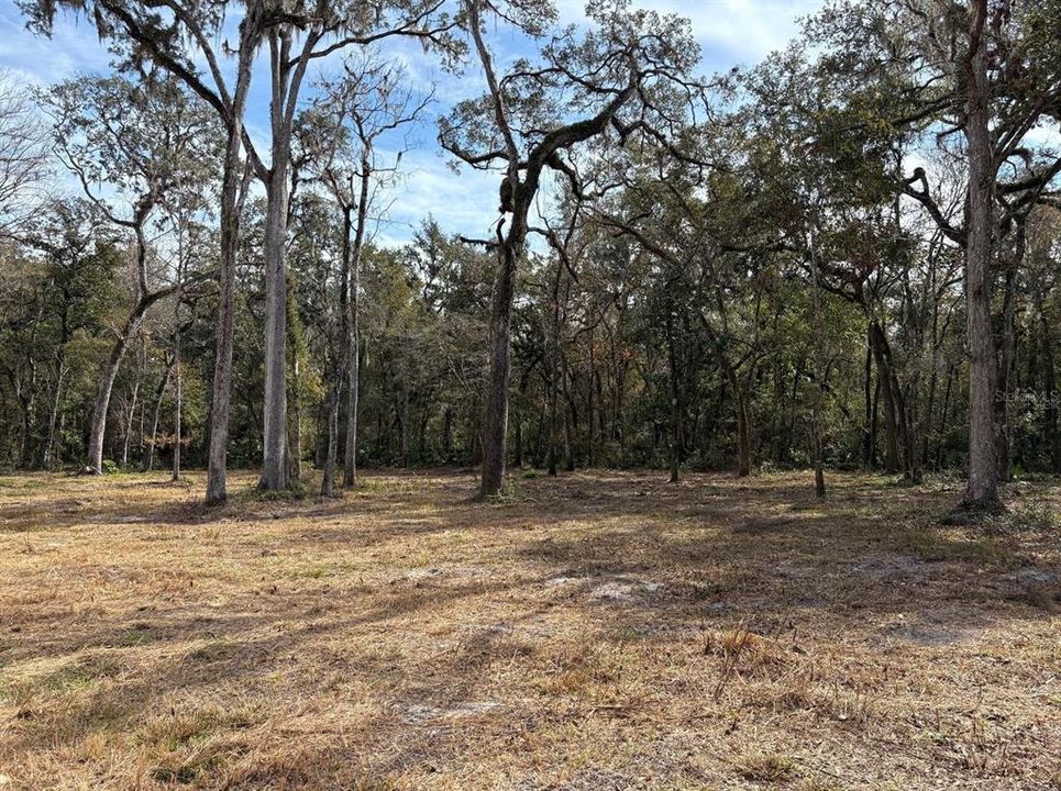 待售: $550,000 (19.20 acres)
