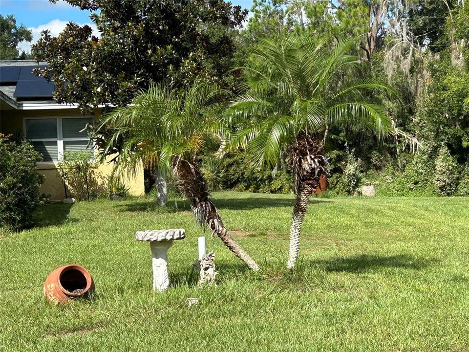 En Venta: $375,000 (3 camas, 2 baños, 1776 Pies cuadrados)