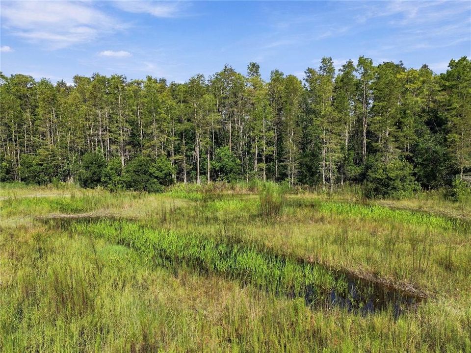 На продажу: $149,900 (1.86 acres)