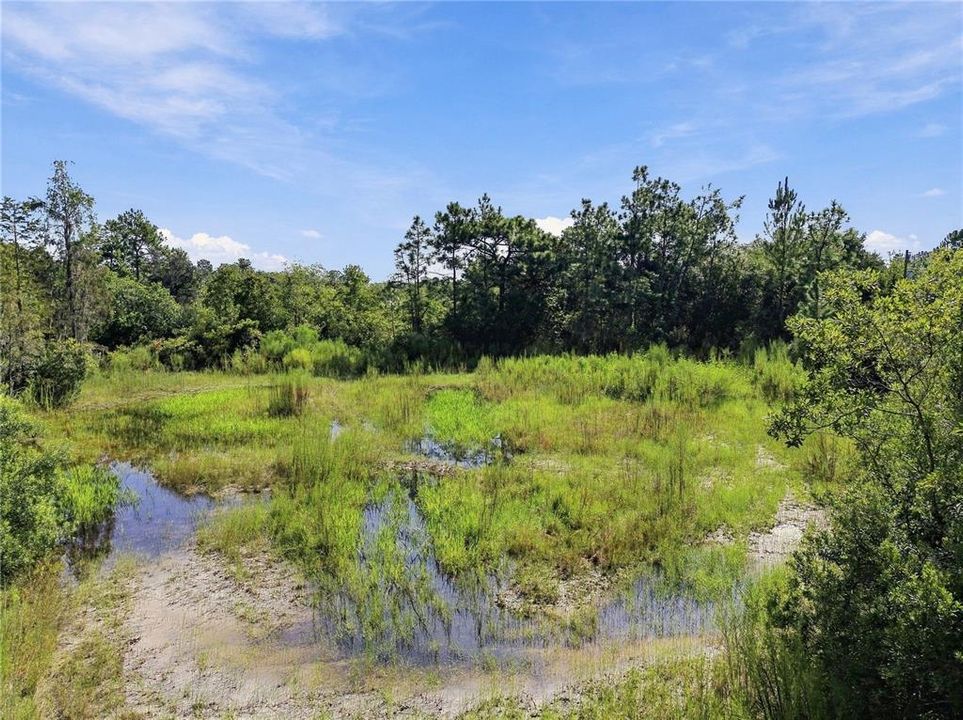 На продажу: $149,900 (1.86 acres)