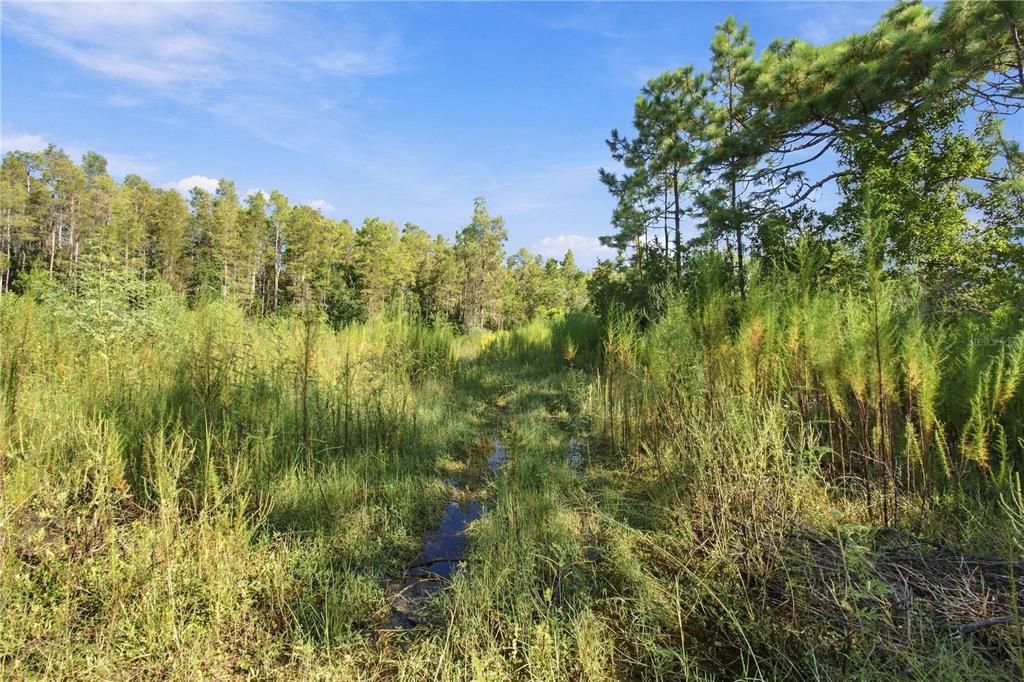 На продажу: $149,900 (1.86 acres)
