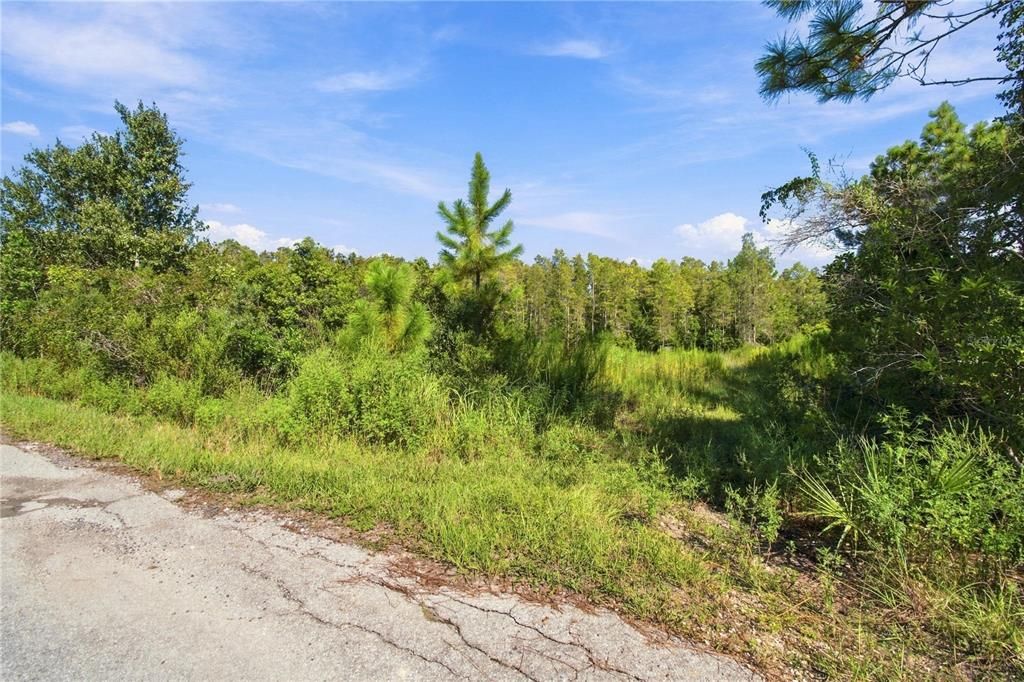 На продажу: $149,900 (1.86 acres)