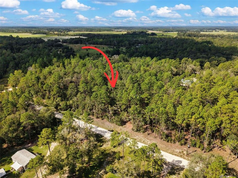 На продажу: $42,500 (1.03 acres)