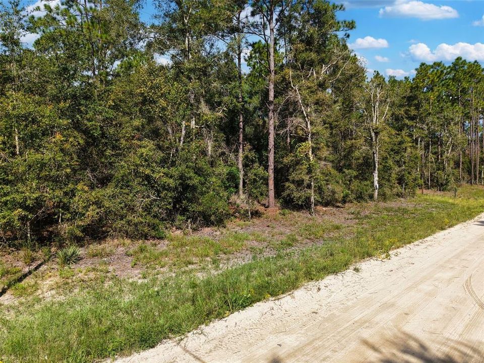 На продажу: $42,500 (1.03 acres)