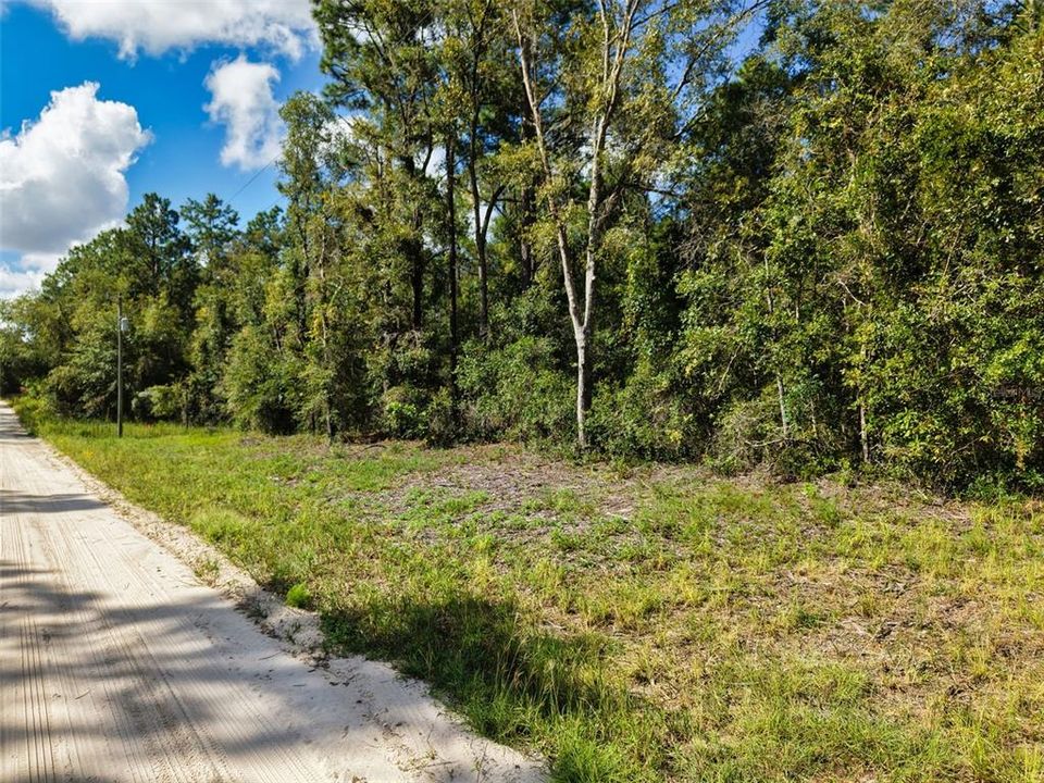 На продажу: $42,500 (1.03 acres)