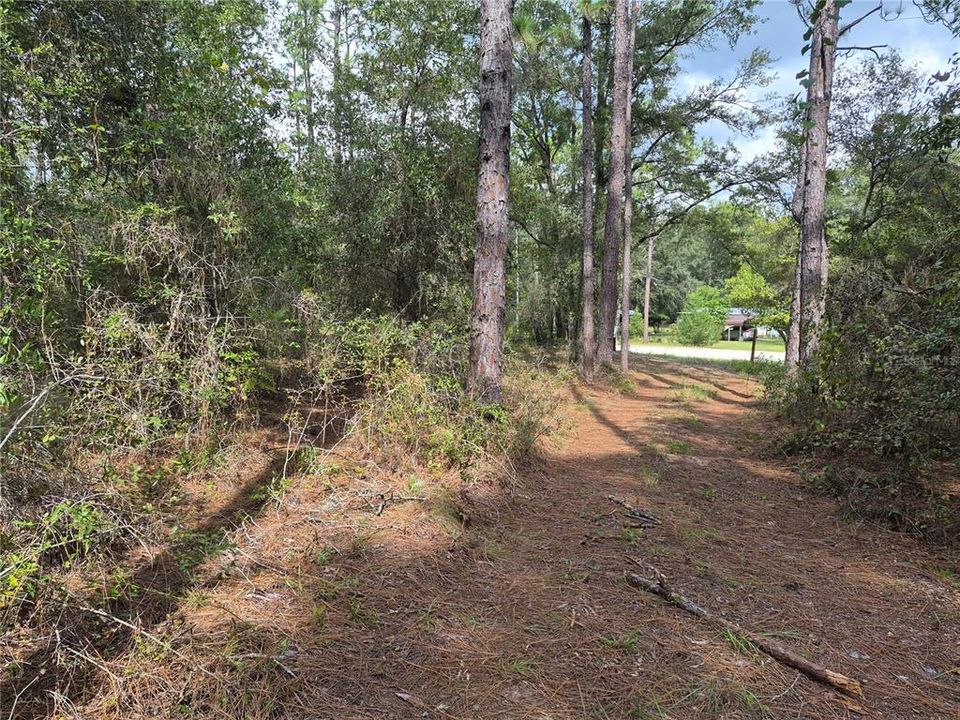 На продажу: $42,500 (1.03 acres)