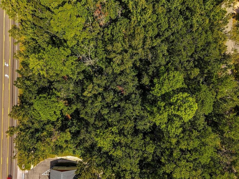 For Sale: $70,000 (1.26 acres)