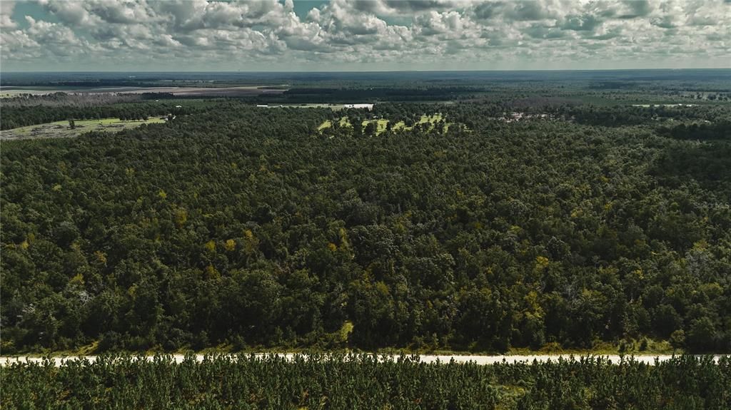 For Sale: $239,999 (40.01 acres)