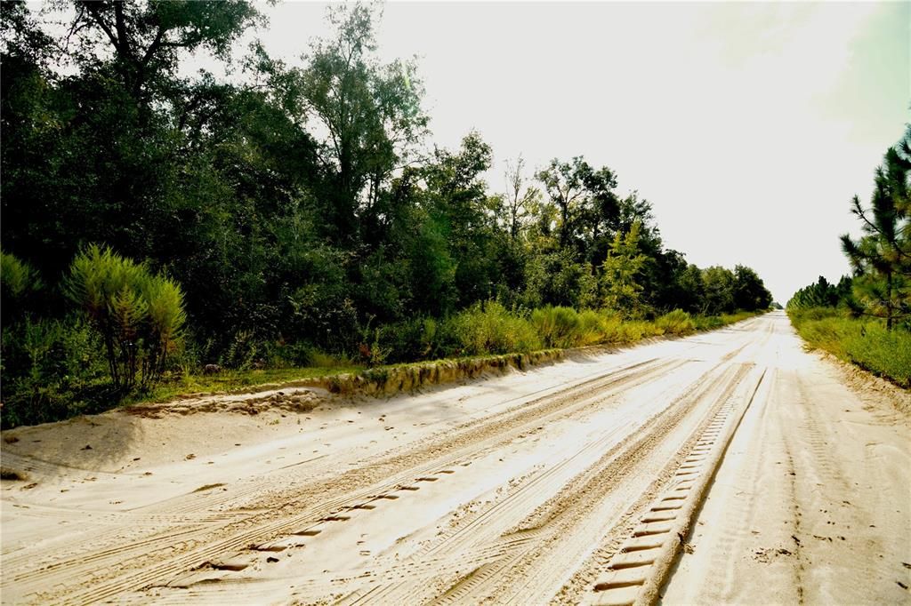 For Sale: $239,999 (40.01 acres)